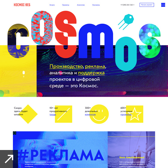 Cosmos-Web 2018